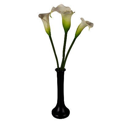 Peony Lilies in Black Vase